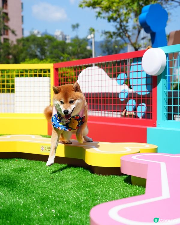 青衣城寵物新蒲點🐾