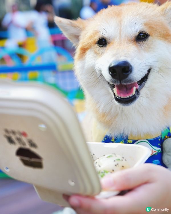 青衣城寵物新蒲點🐾