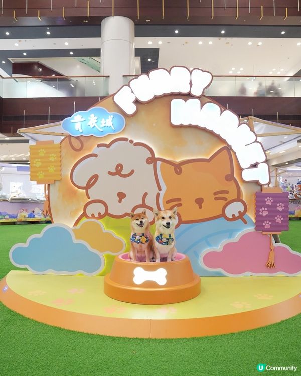 青衣城寵物新蒲點🐾