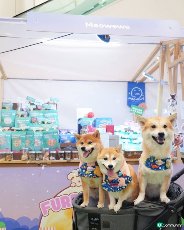 青衣城寵物新蒲點🐾