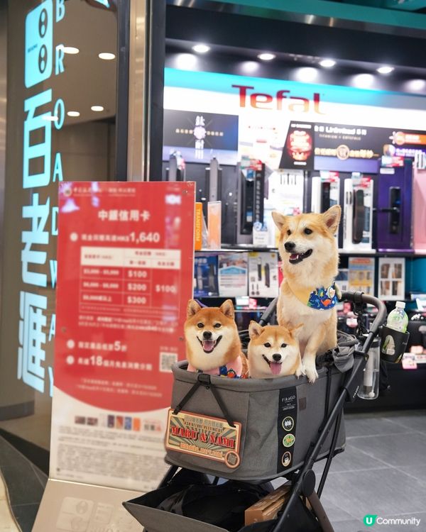 青衣城寵物新蒲點🐾