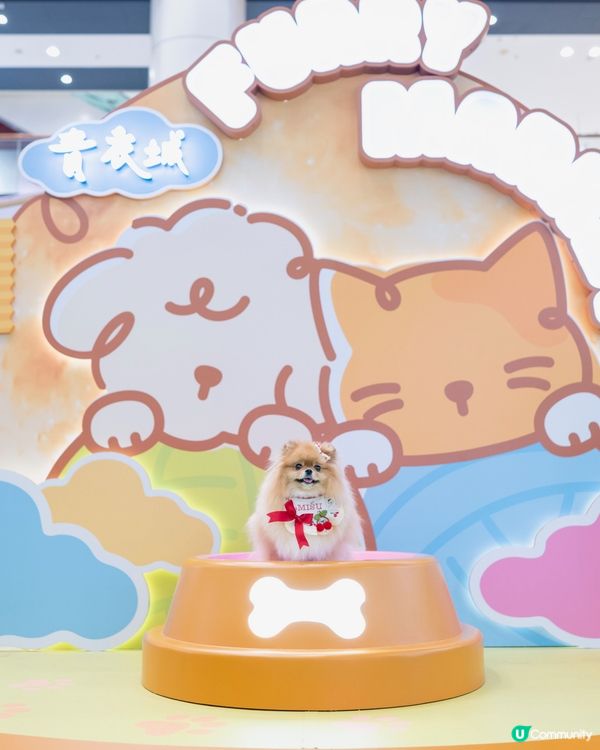 中秋節帶米蘇蘇去青衣城玩！🐶🌕🥳