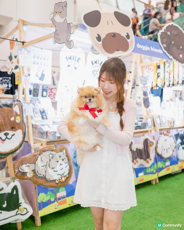 中秋節帶米蘇蘇去青衣城玩！🐶🌕🥳