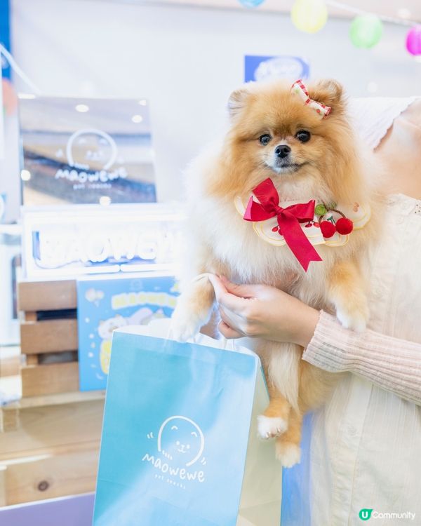 中秋節帶米蘇蘇去青衣城玩！🐶🌕🥳