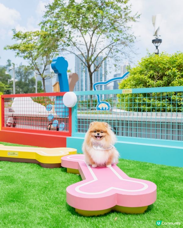 中秋節帶米蘇蘇去青衣城玩！🐶🌕🥳