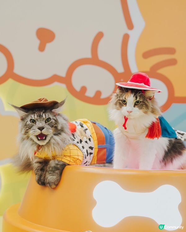 青衣城毛孩放電好去處「寵物Furry Market」🐾