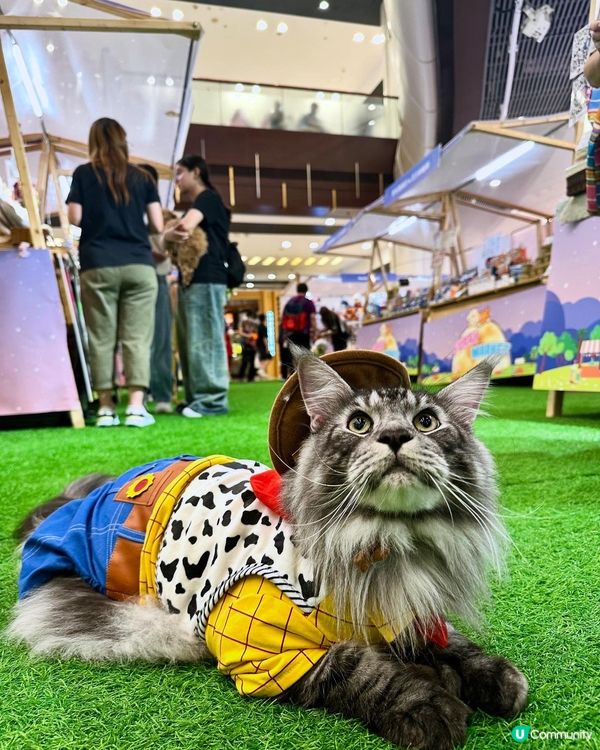 青衣城毛孩放電好去處「寵物Furry Market」🐾