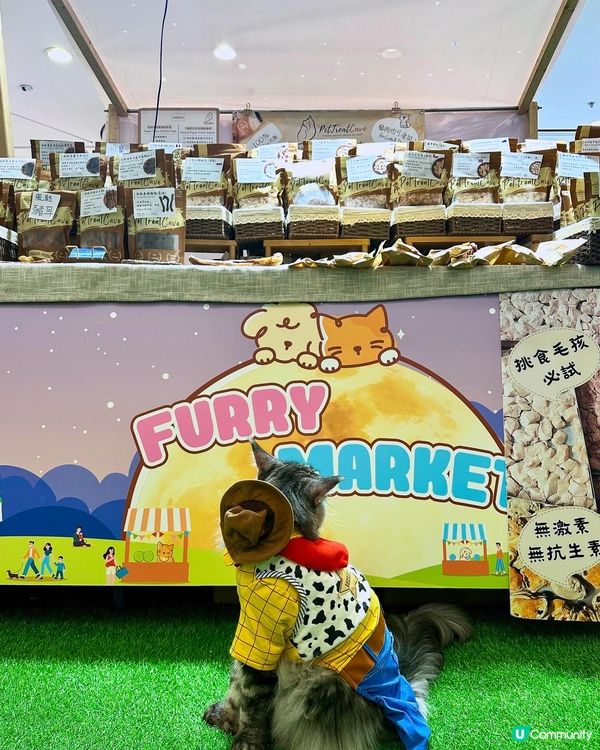 青衣城毛孩放電好去處「寵物Furry Market」🐾