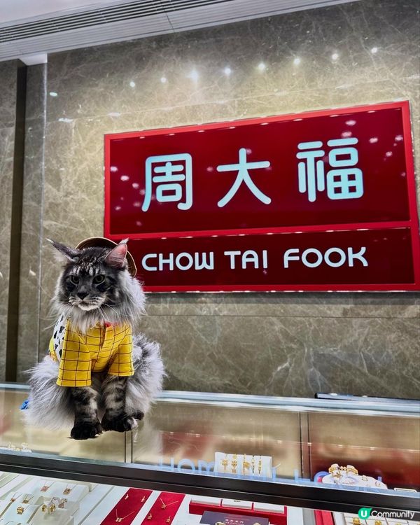 青衣城毛孩放電好去處「寵物Furry Market」🐾