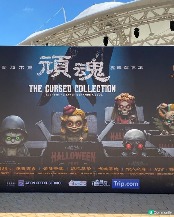 熊貓BB一歲啦！🐼 瞓覺豬超可愛！😍