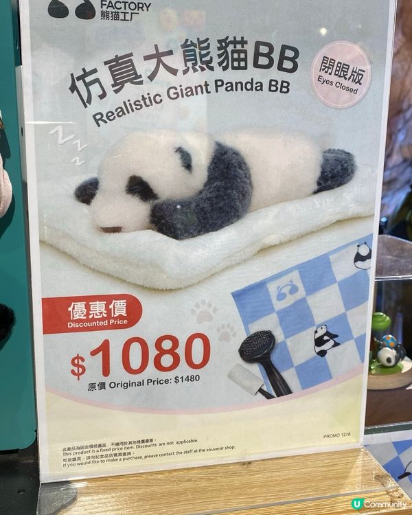 熊貓BB一歲啦！🐼 瞓覺豬超可愛！😍