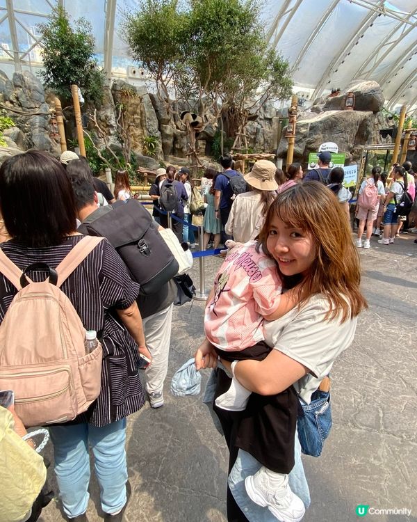 熊貓BB一歲啦！🐼 瞓覺豬超可愛！😍