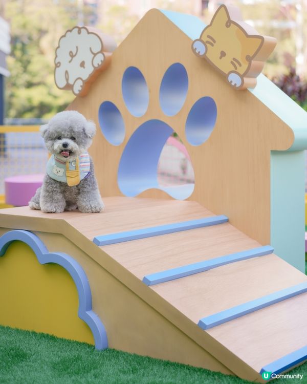 青新貓狗樂園 @ 青衣城