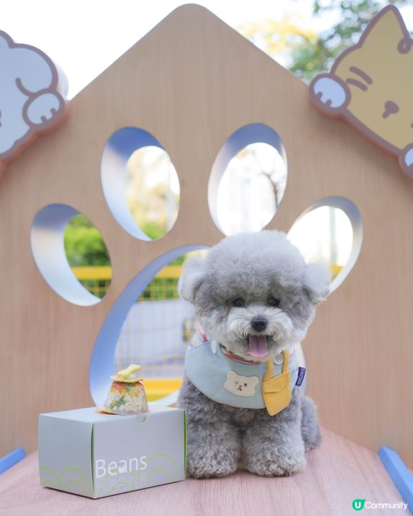 青新貓狗樂園 @ 青衣城