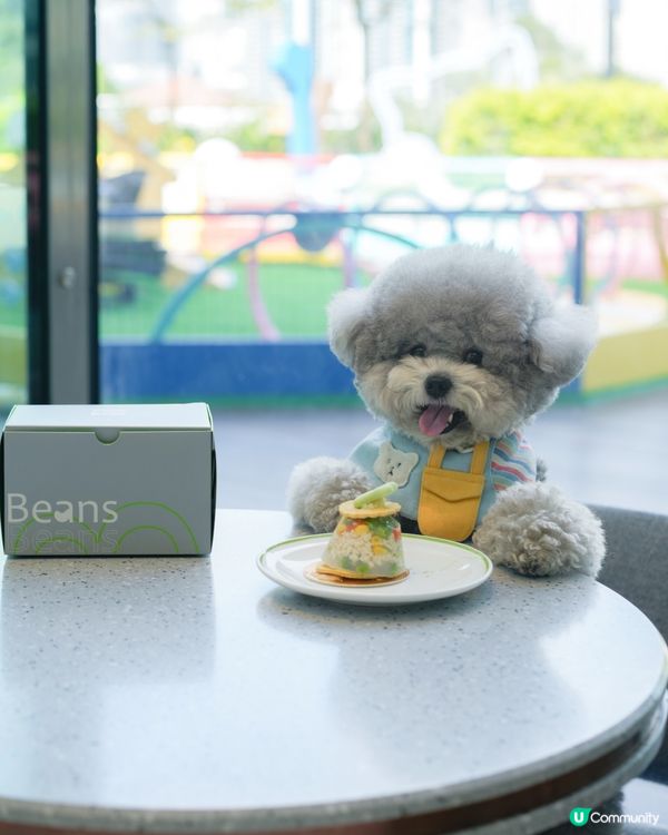 青新貓狗樂園 @ 青衣城