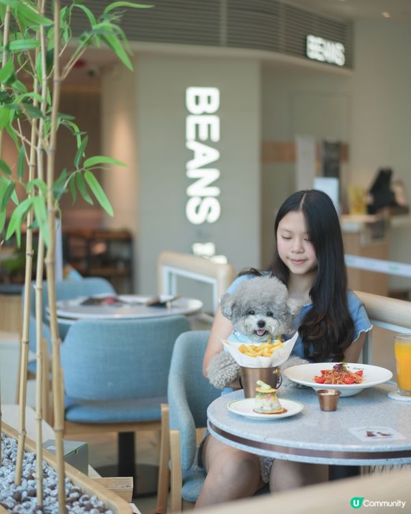 青新貓狗樂園 @ 青衣城