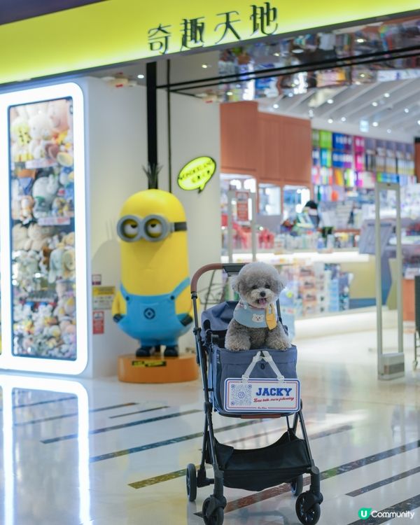 青新貓狗樂園 @ 青衣城