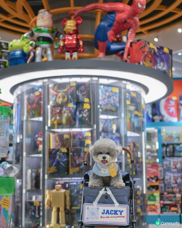 青新貓狗樂園 @ 青衣城