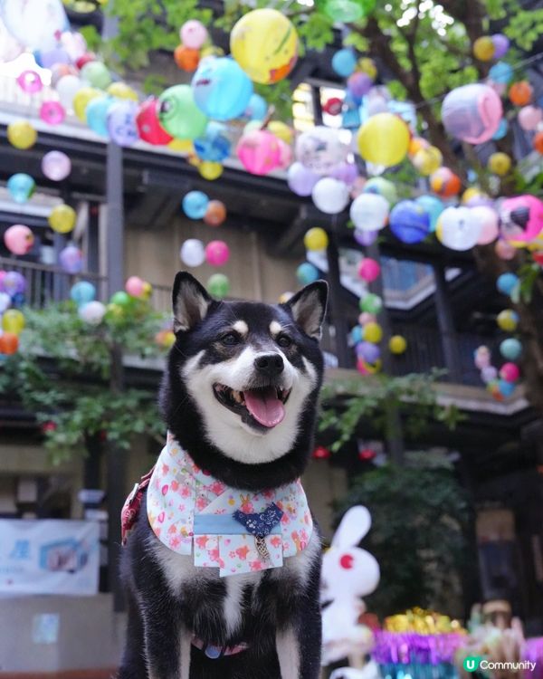 藍屋中秋燈籠打卡📸！靚到爆！