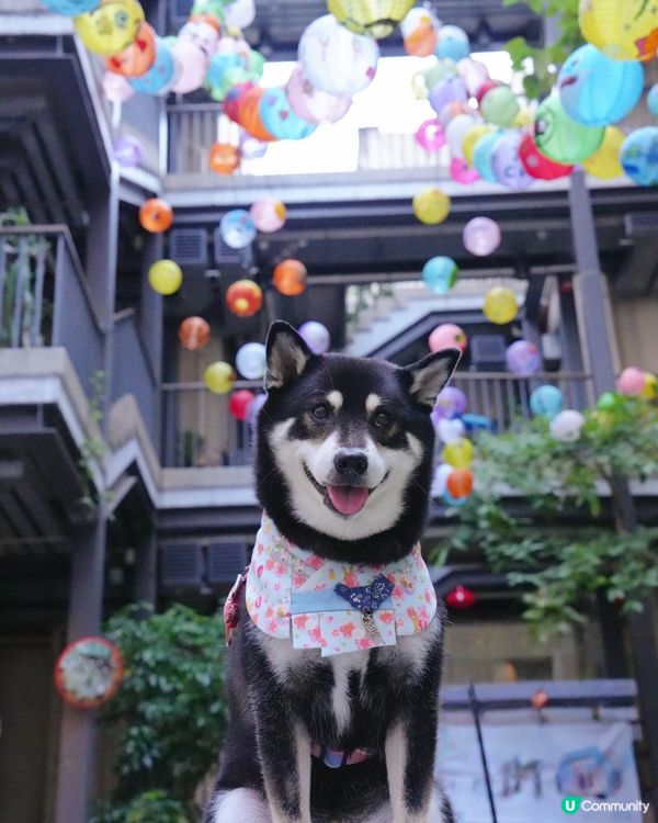 藍屋中秋燈籠打卡📸！靚到爆！