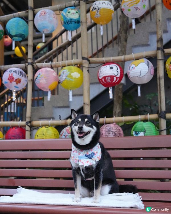 藍屋中秋燈籠打卡📸！靚到爆！