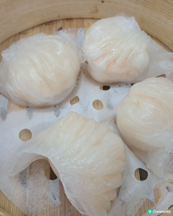 不能只有我知道！九龍城新手功點心