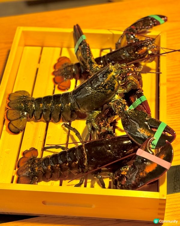 火蓮花日本餐廳🔥濱燒之旅！河景靚到爆！😍