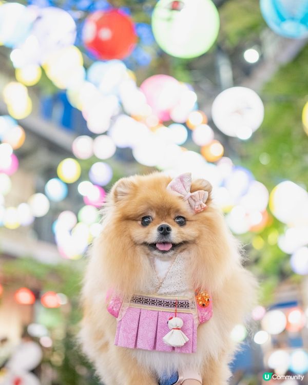 中秋節藍屋打卡💙✨📸！