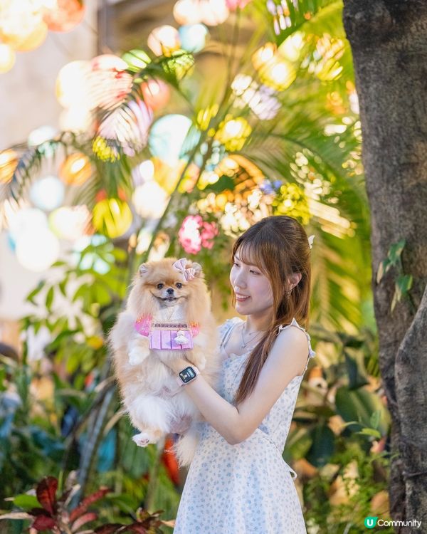 中秋節藍屋打卡💙✨📸！