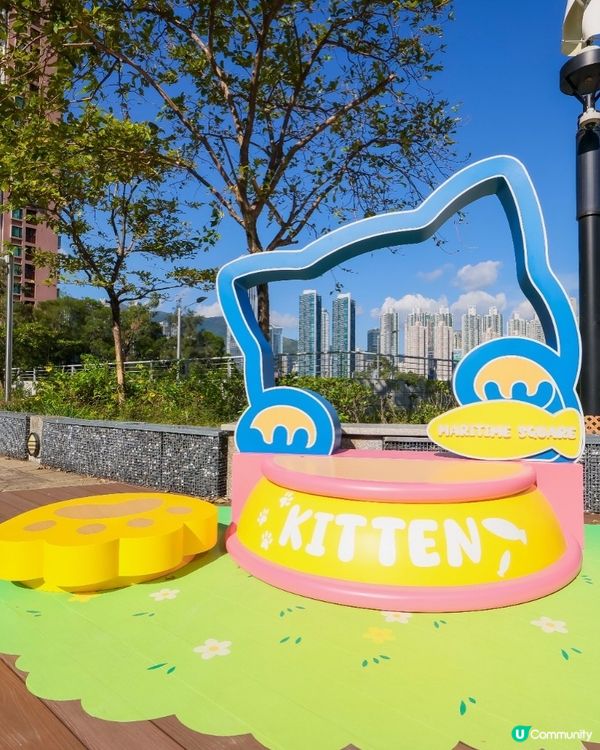 青衣城貓狗友善設施！毛孩放電好去處 🐾🥳