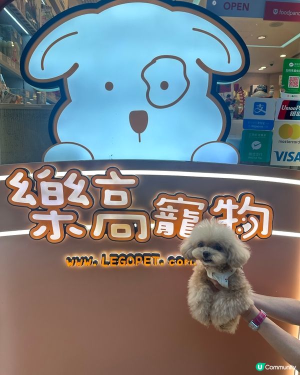 青衣城貓狗友善設施！毛孩放電好去處 🐾🥳