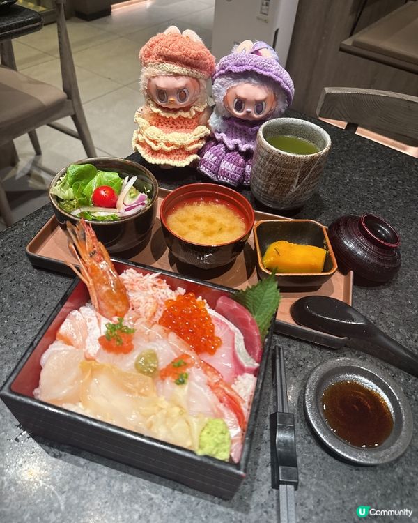 高質魚鮮直送刺身飯定食