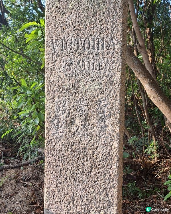 一次舒服之導賞