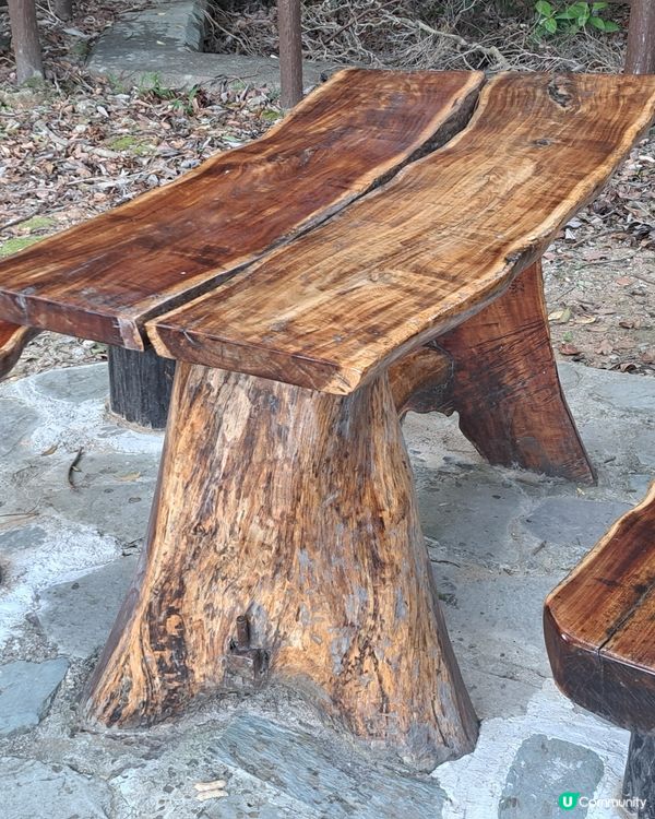 一次舒服之導賞