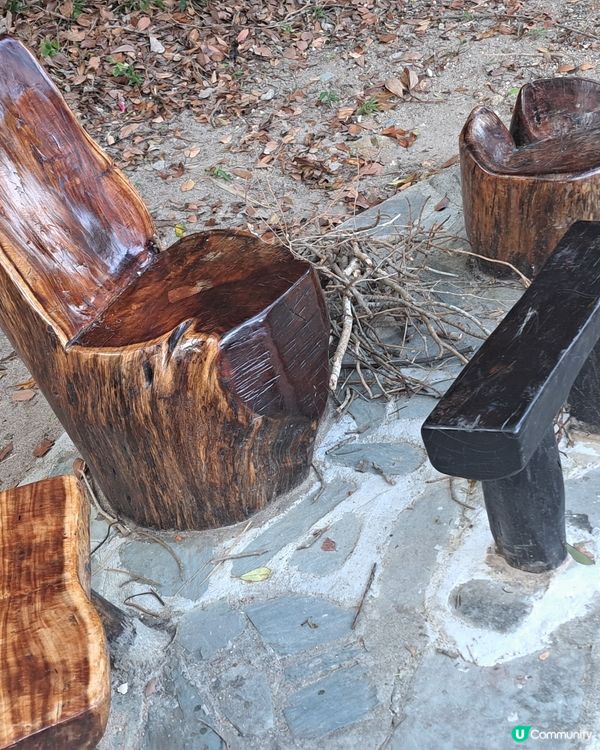 一次舒服之導賞