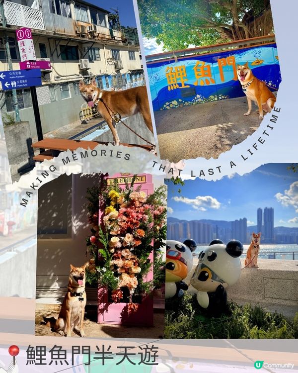 ❤️鯉魚門半日遊🌟 #香港好去處