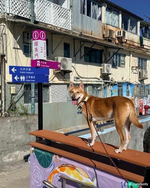 ❤️鯉魚門半日遊🌟 #香港好去處