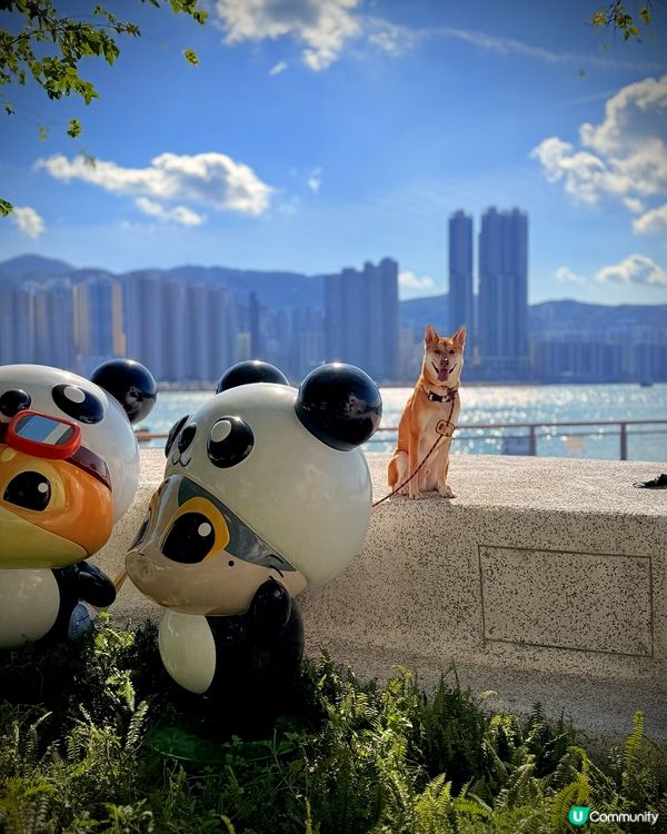 ❤️鯉魚門半日遊🌟 #香港好去處