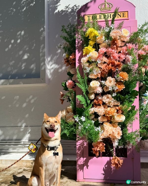 ❤️鯉魚門半日遊🌟 #香港好去處