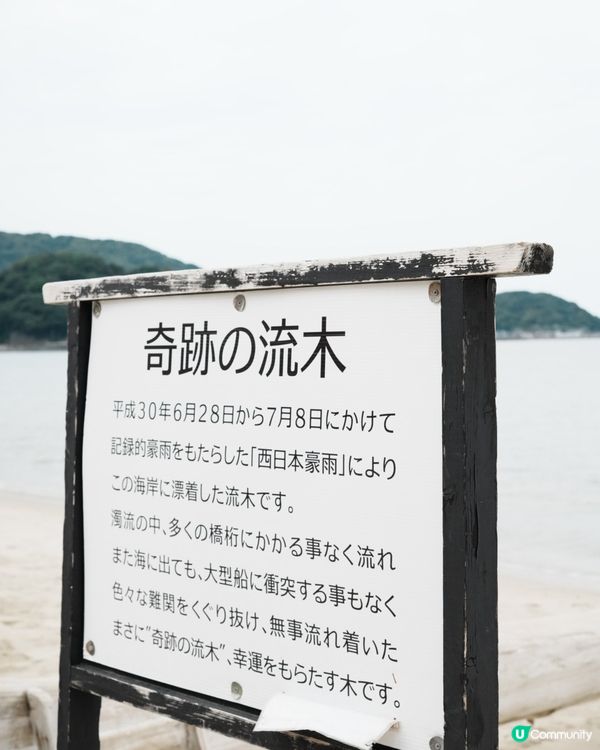 福岡糸島🌴 鞦韆打卡🌊😍