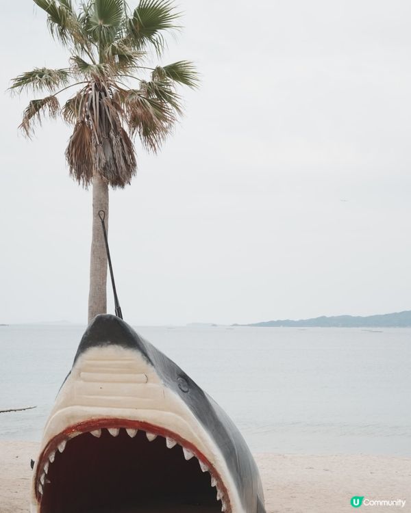 福岡糸島🌴 鞦韆打卡🌊😍