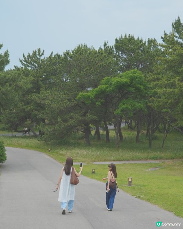 福岡海之中道公園玩樂攻略！🤩 動物之森超正！