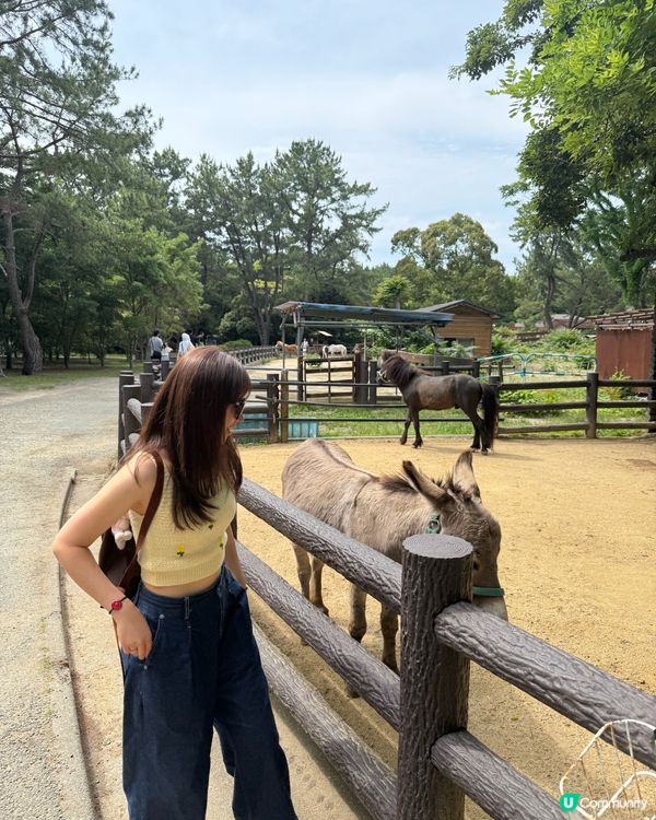 福岡海之中道公園玩樂攻略！🤩 動物之森超正！