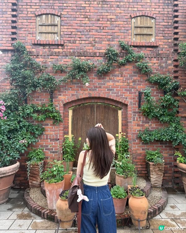 福岡海之中道公園玩樂攻略！🤩 動物之森超正！