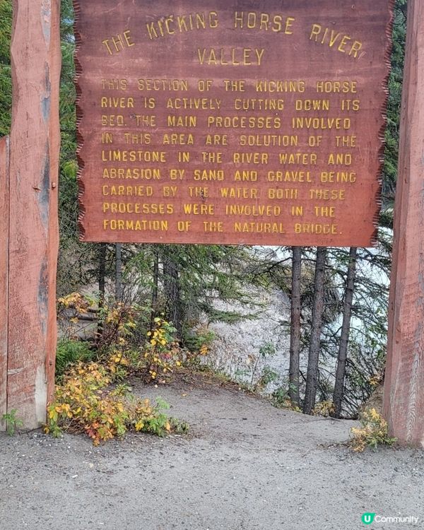 kicking horse river valley