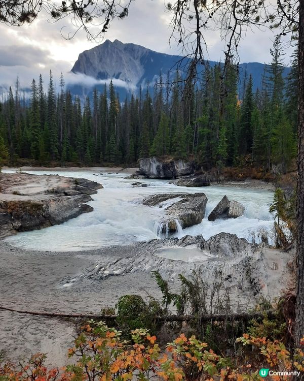 kicking horse river valley