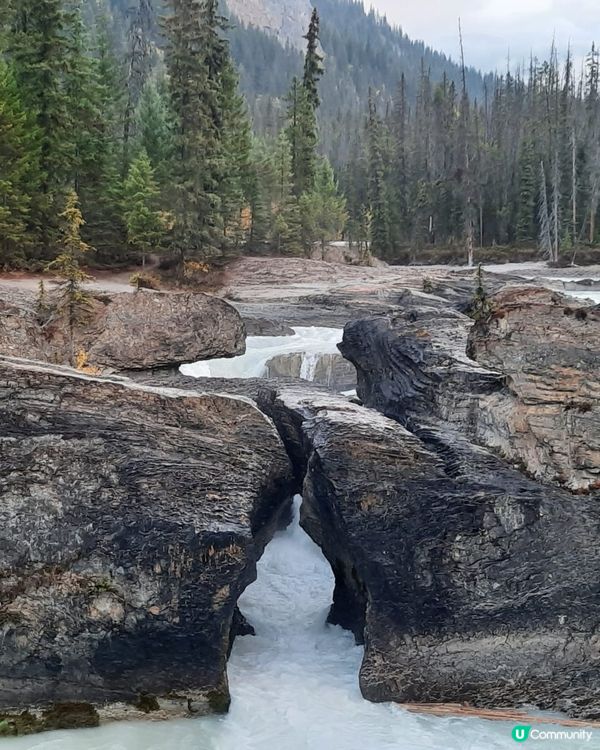 kicking horse river valley