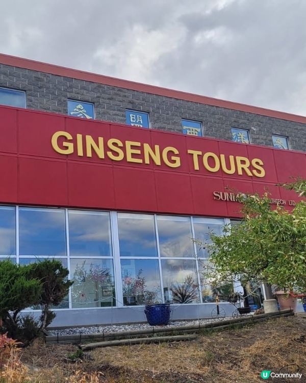 Ginseng tour 