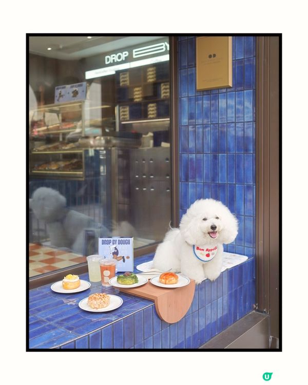 上環新開冬甩店🍩！不甜不油膩！