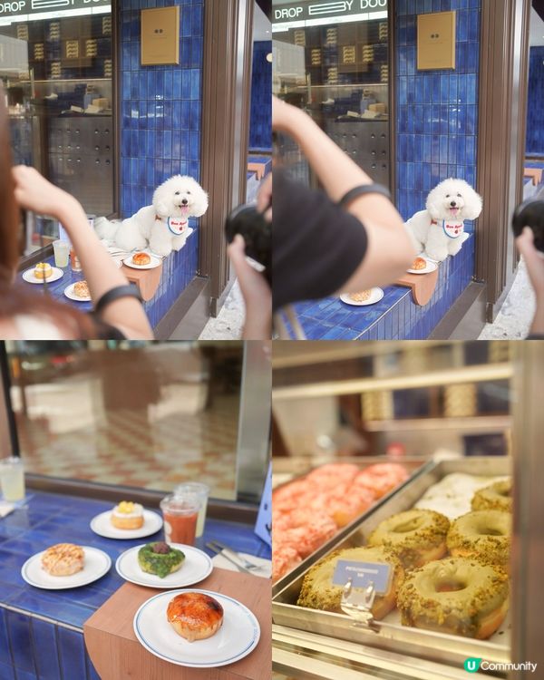 上環新開冬甩店🍩！不甜不油膩！